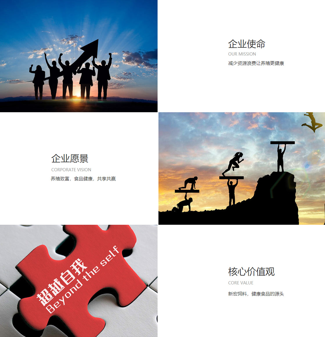中欧体育全站app(图1)
